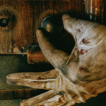 réserver-Enigm'Antic Escape Game