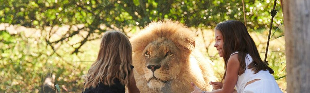 Zoo de Pessac pour Enfants à Bordeaux