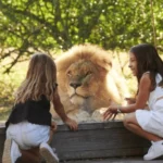 réserver-Zoo de Bordeaux Pessac-bordeaux