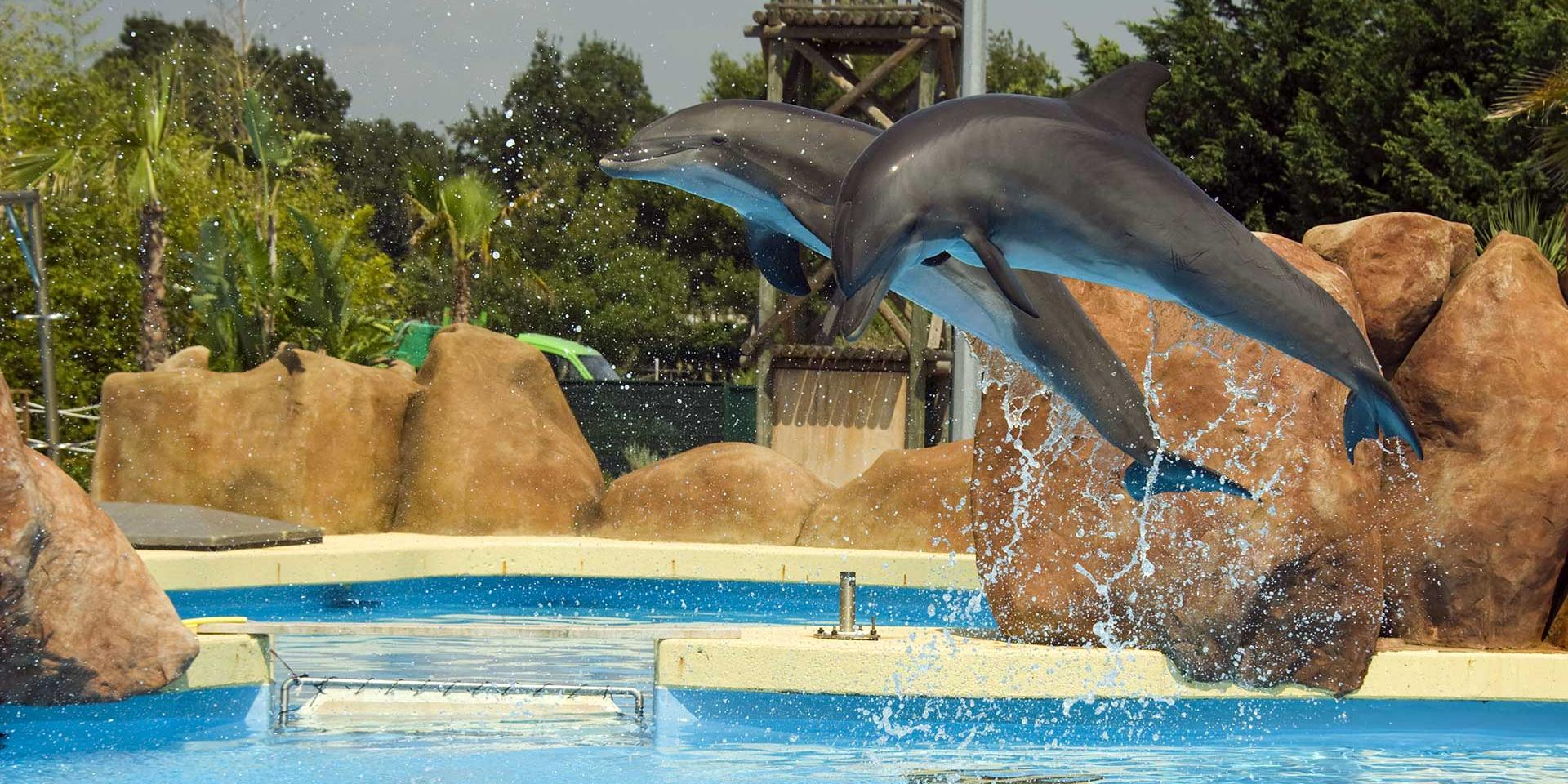 Explorez les activités à faire en famille en Provence