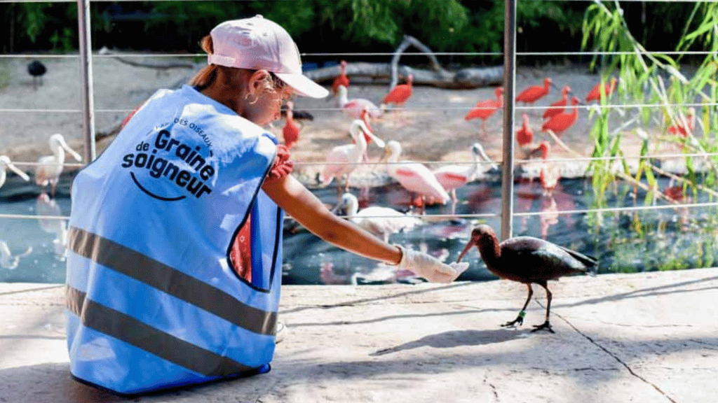 Découvrez les meilleures activités à faire en famille en Rhône-Alpes
